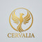 Translation missing: fr.CERVALIA accessibility.home